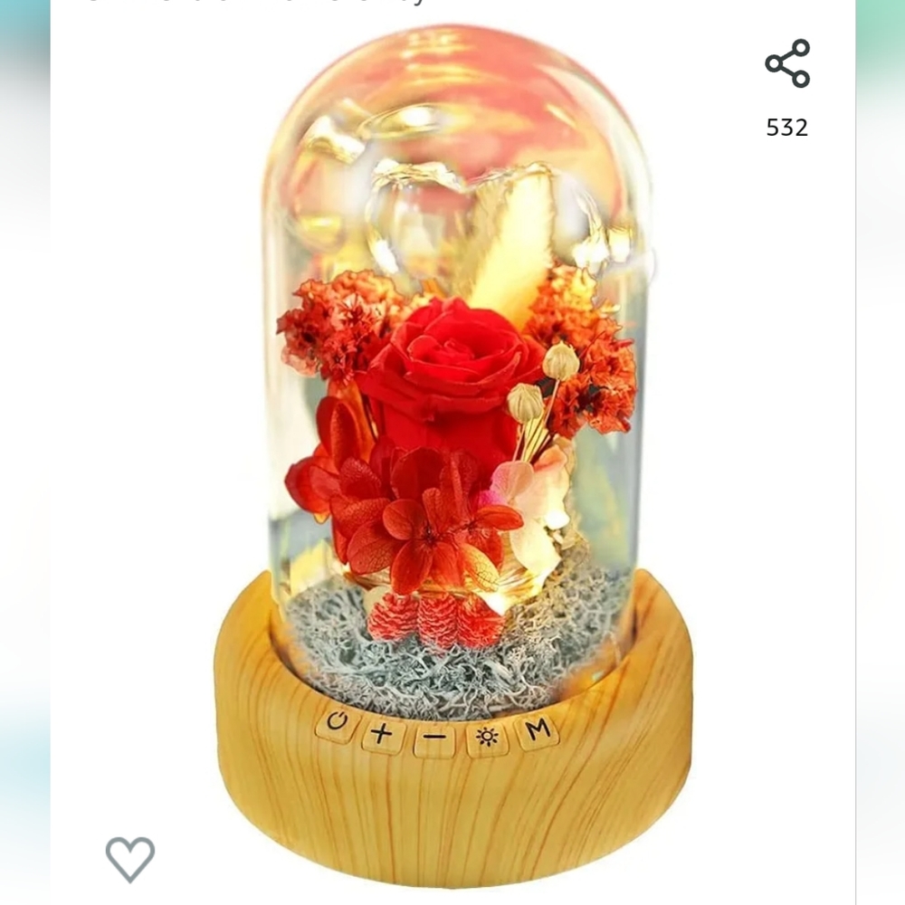 Preserved rose Bluetooth speaker/light